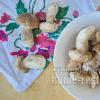 Заготовка грибов на зиму – рецепты маринованных, консервированных и солёных закаток