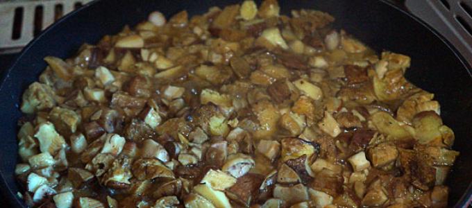 Рецепты приготовления мясных, картофельных зраз с грибами и сыром, овощами, разными соусами